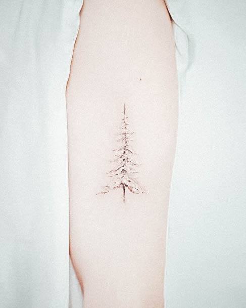 Top 100 Best Pine Tree Tattoos For Women - Forest Design Ideas