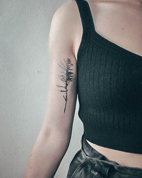 Womens Pine Tree Tattoo Ideas