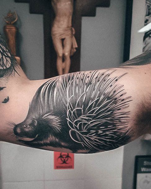 Womens Porcupinely Porcupine Tattoo Ideas