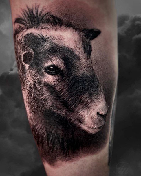 Womens Sheep Super Tattoo Designs