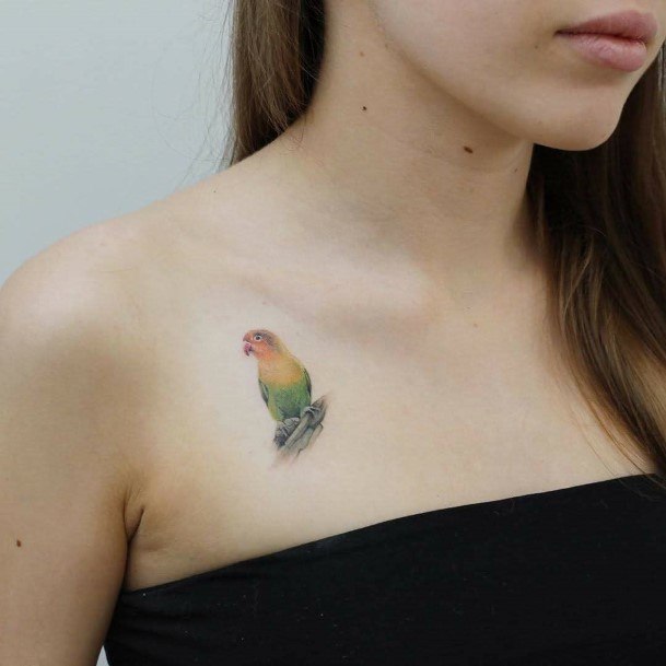 Womens Small Colored Parakeet Tattoo Shoulder