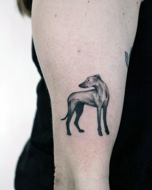 Womens Tall Dog Tattoo Arms