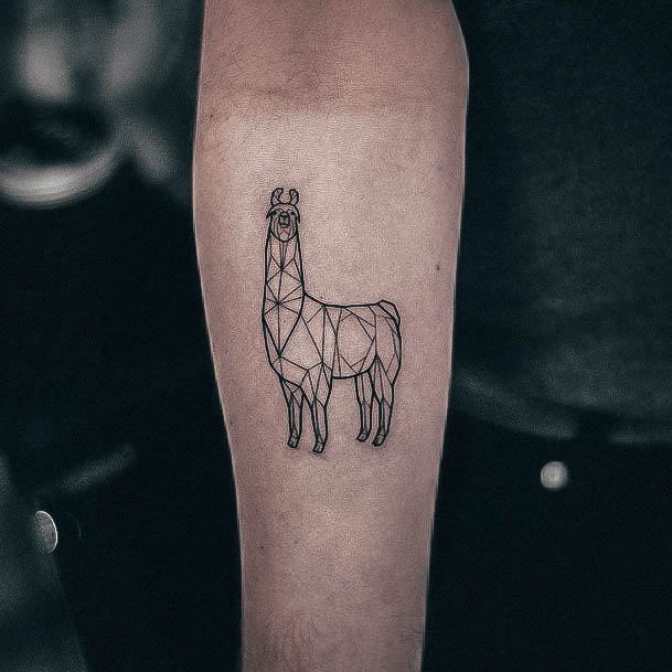 Womens Tattoo Ideas Alpaca