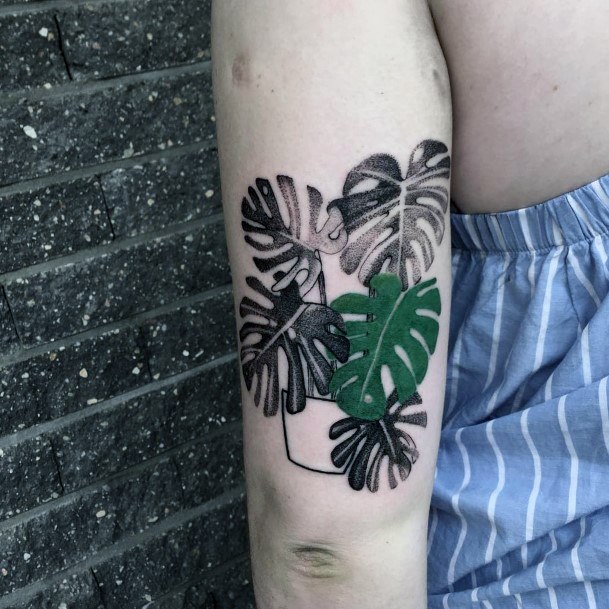 Womens Tattoo Ideas With Monstera Design