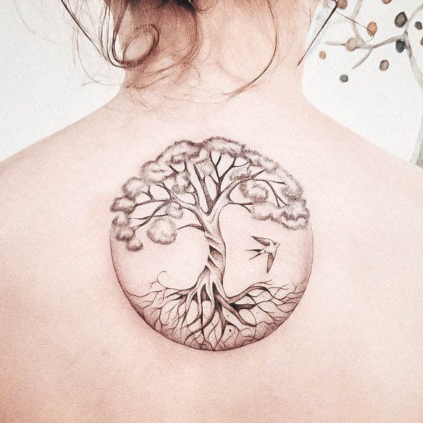 Womens Tree Of Life Good Looking Tattoos