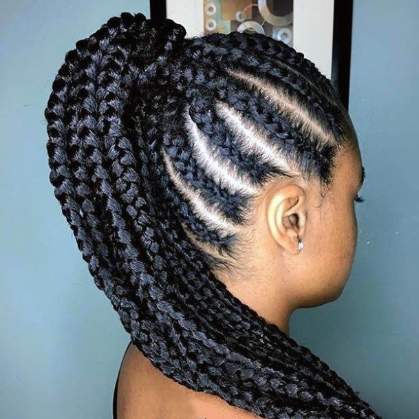 Wonderful Braids Ponytail Hairstyles For Black Women
