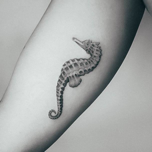 Wondrous Ladies Seahorse Tattoos