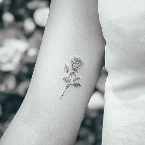 Wondrous Ladies Small Rose Tattoos