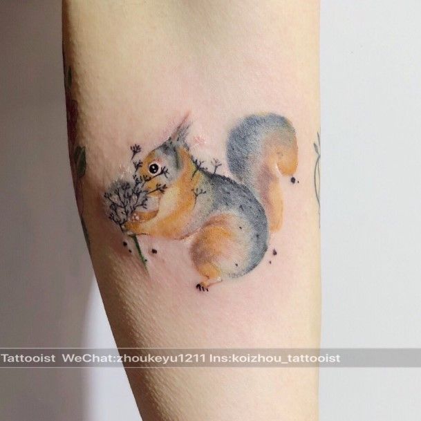 Wondrous Ladies Squirrel Tattoos