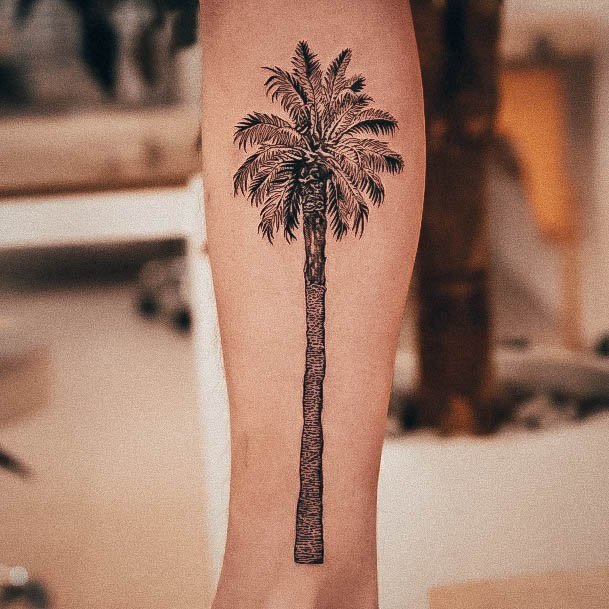 Wondrous Palm Tree Tattoo For Woman