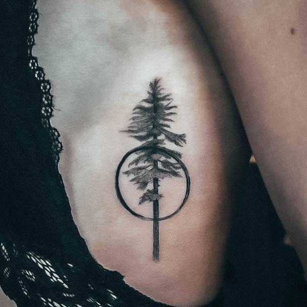 Wondrous Pine Tree Tattoo For Woman