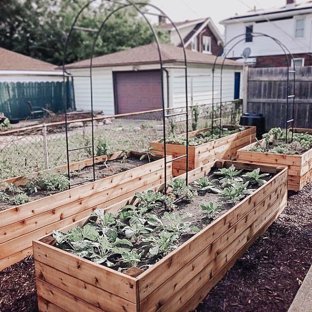 Wood Bed Garden Raised Ideas Cedar