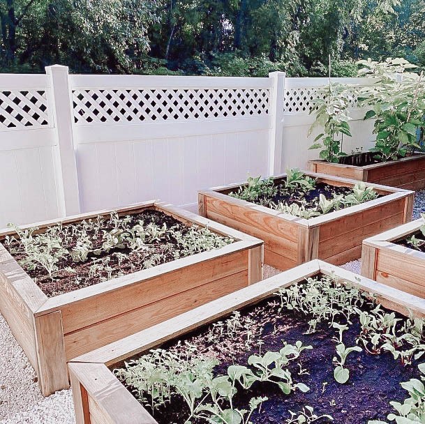 Wood Ideas For Raised Garden Beds