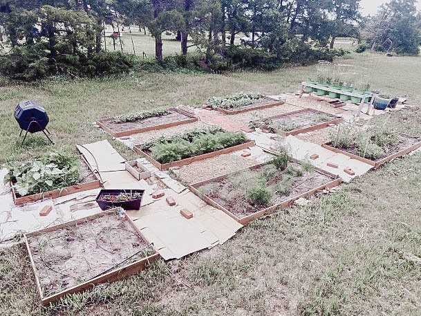 Wood Impressive Raised Garden Bed Designs