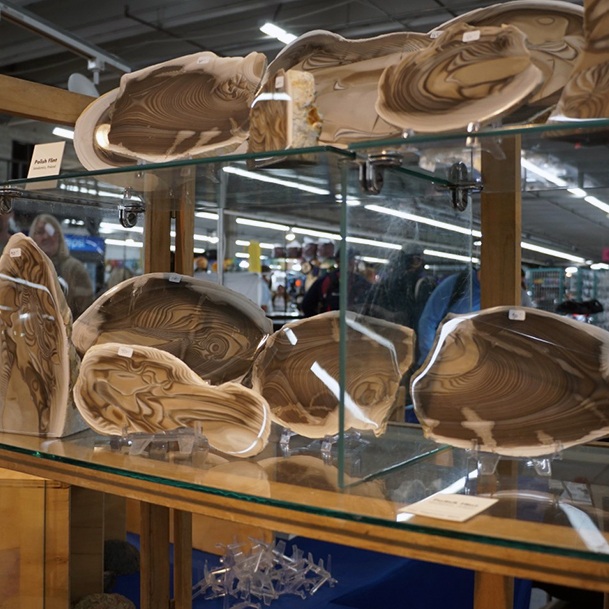 Wood Slabs Denver Gem And Mineral Show