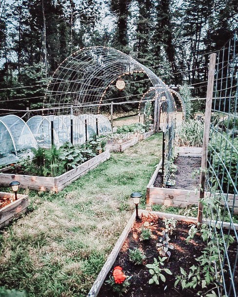 Wood Vegtable Garden Bed Ideas