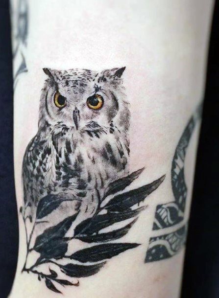 Yellow Eyed Owl Tattoo For Women
